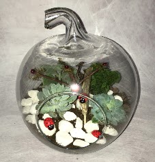 Kk terrarium elma 3 kakts Ankara ukurambar hediye iek yolla 