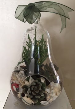 Orta boy armut terrarium 3 kakts Ankara ukurambar iek siparii sitesi 