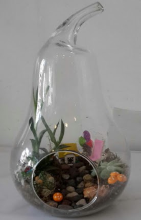 Orta boy cam armut terrarium Ankara ukurambar 14 ubat sevgililer gn iek 