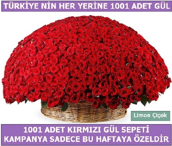 1001 Adet krmz gl Bu haftaya zel ukurambar iek siparii vermek 