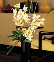 ukurambar ankara iekleri gvenli kaliteli hzl iek  cam yada mika vazo ierisinde dal orkide