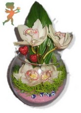 fanus ierisinde 4 orkide Ankara ukurambar kaliteli taze ve ucuz iekler 