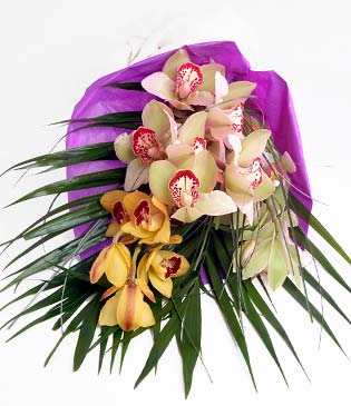 ukurambar iek gnderme sitemiz gvenlidir  1 adet dal orkide buket halinde sunulmakta