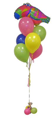 ukurambar cicek , cicekci  Sevdiklerinize 17 adet uan balon demeti yollayin.