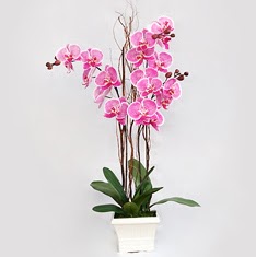 ukurambar iek gnderme sitemiz gvenlidir  2 adet orkide - 2 dal orkide