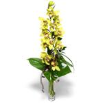 ukurambar cicek , cicekci  1 dal orkide iegi - cam vazo ierisinde -