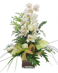 Ankara ukurambar hediye iek yolla  cam vazo ierisinde 1 dal orkide iegi