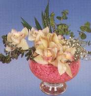 Ankara ukurambar hediye iek yolla  Dal orkide kalite bir hediye