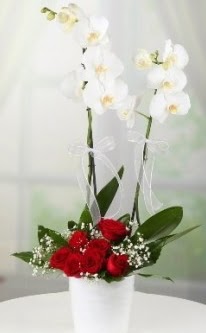 2 dall beyaz orkide 7 adet krmz gl ukurambar ankara iek siparii iek gnderme 