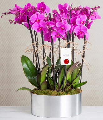 11 dall mor orkide metal vazoda Ankara ukurambar online iek gnderme sipari 