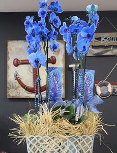 4 dall zel mavi orkide Ankara ukurambar iek sat online ieki , iek siparii 