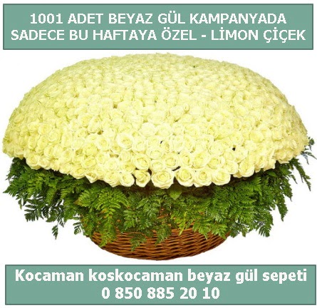 1001 adet beyaz gl sepeti zel kampanyada Ankara ukurambar online iek gnderme sipari 