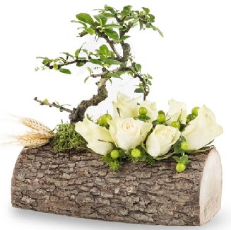 Doal ktkte bonsai aac ve 7 beyaz gl Ankara ukurambar online iek gnderme sipari 